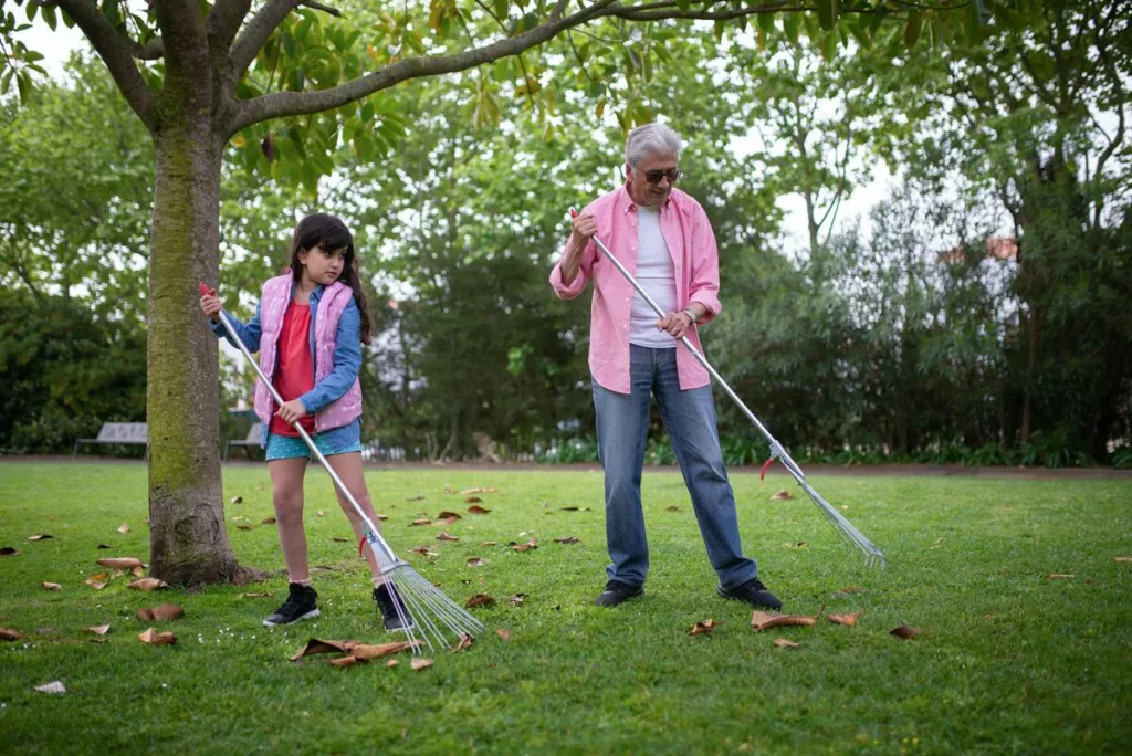 A girl and a man gathering leaves in the yard using rakes