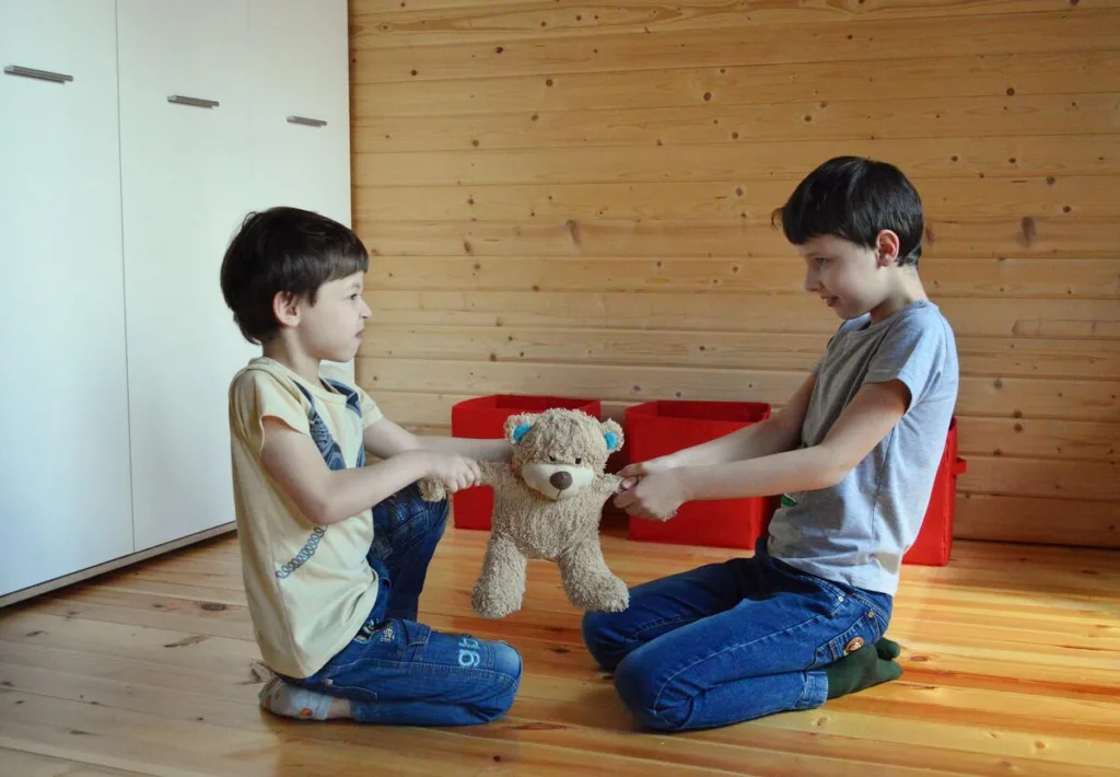 why do siblings fight - Brothers in a conflict pulling a teddy